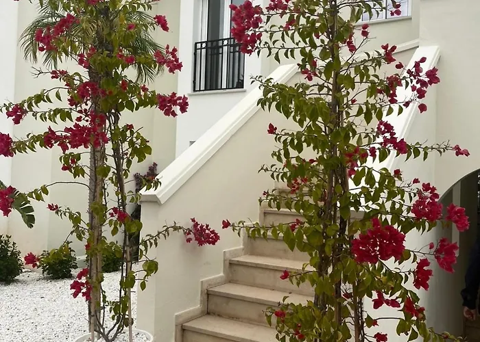 Casa Montgo 아파트